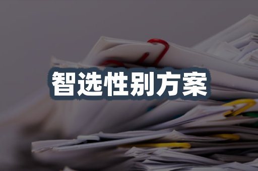 智选性别方案